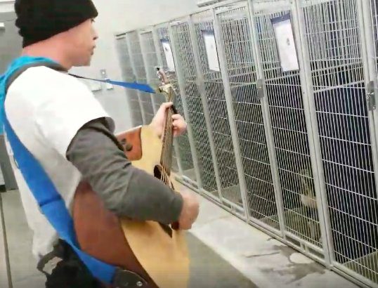 officer serenades shelter dogs