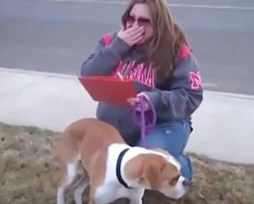 Family Rejects Dog On Adoption Day Only For Heartbroken Foster Mom To Learn She’s Been Set-Up