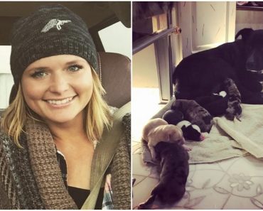 Miranda Lambert Rescues 72 Dogs Stranded By Hurricane, Brings Home Mom And Day-Old Puppies