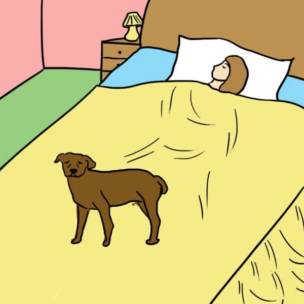 sleeping with dog health benefits