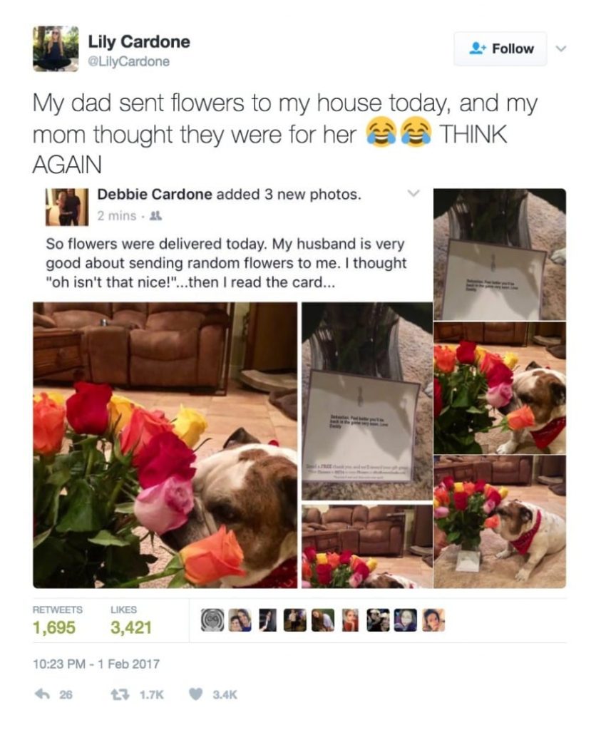 flower arrangement dog sebastian