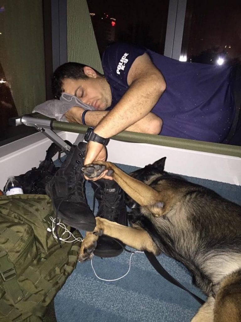k9 officer holding hands with dog