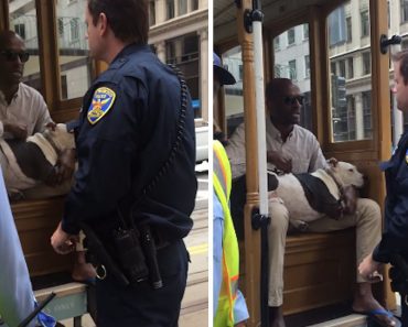 Cable Car Driver Glares At Calm Pit Bull Service Dog, Then Calls The Cops To Remove Him