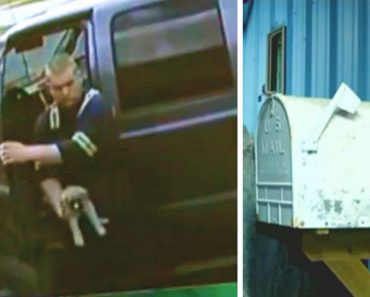 Security Footage Captures Monster Grabbing Scared Puppy From Truck And Leaving Him In A Mailbox