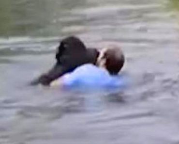 Truck Driver Jumps Into Forbidden Zoo Enclosure To Save A Drowning Chimp When No One Else Will