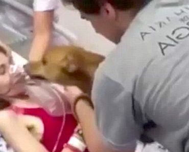 Terminally Ill Mom Gets Her Dying Wish And Reunites With Her Dog For The Last Time