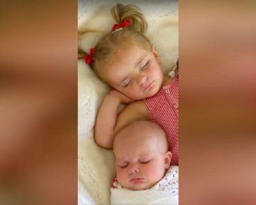 Mom Tucks Toddler In With Baby Sister For Nap, Then Dog Cuddles Up Right Next To Them