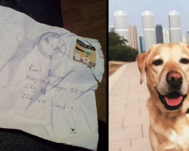 Mom Gets Note From Unknown Sender And Opens It To Find Pictures Of Her Late Dog’s Puppy
