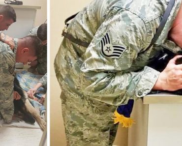 Airman Holds Dying Military Dog, Then Boss Orders Staff To Get American Flag Quickly