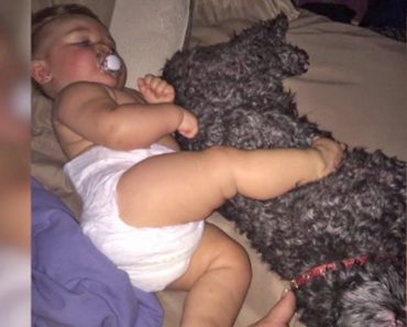 Baby Girl Is Trapped In House Fire When The Family Dog Makes The Ultimate Sacrifice