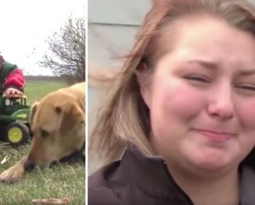 3-Year-Old Disappears From Yard, Then Rescuers Spot Family Dog Lying On Top Of Him In A Field