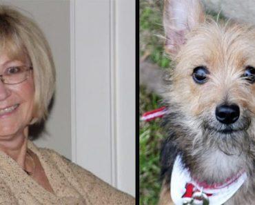 70-Year-Old Woman Says She Wasn’t Allowed To Adopt A Puppy Because Of Her Age