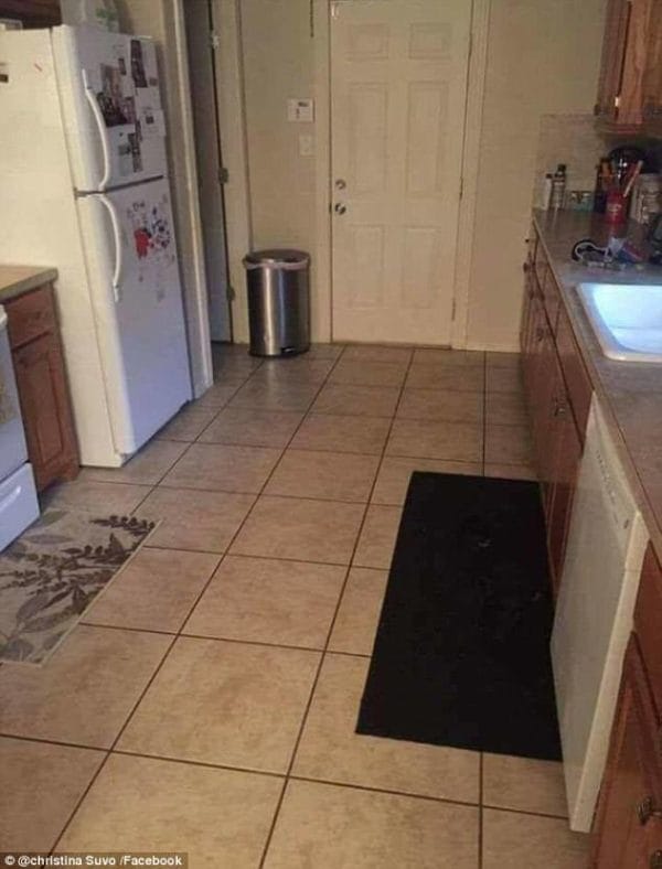 dog hiding kitchen photo