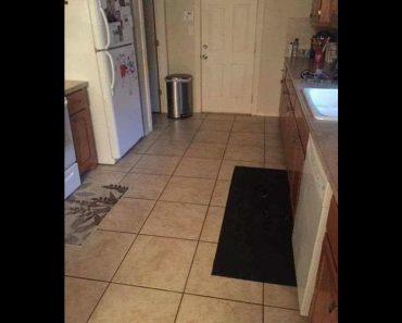 It’s Almost Impossible To Spot The Big Dog Hiding In This Photo Of An Ordinary Kitchen