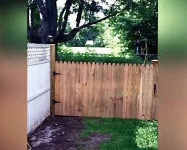 Dad Spends All Day Building A Fence For His Dog. 13 Seconds Later, He Realizes She Tricked Him