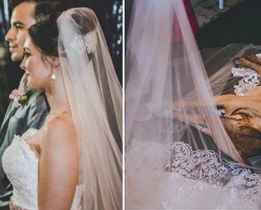 Bride And Groom Say Their Vows When A Lonely Stray Dog Lies On Her Gown And Refuses To Leave