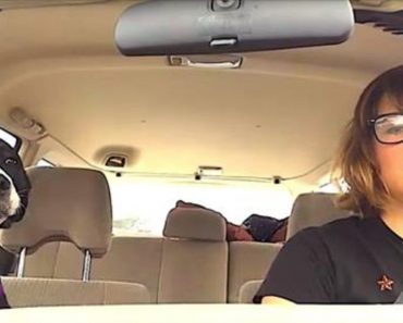 Dog Lets Loose The Moment She Hears Michael Jackson On The Radio With Her Mom