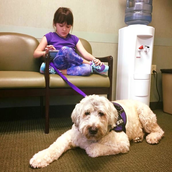 service dogs girl with epilepsy