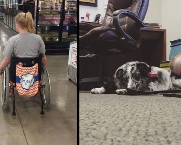 Teen Tells Stranger Not To Pet Her Service Dog And Has A Seizure When He Refuses To Listen