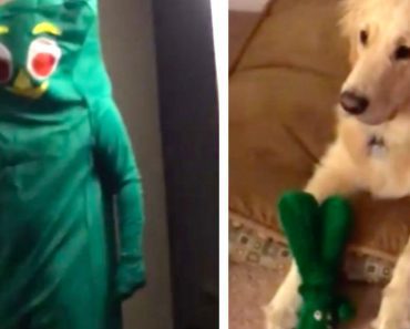 Dog Freezes When She Sees Her Favorite Toy Come To Life, Then She Freaks Out And Tackles Him