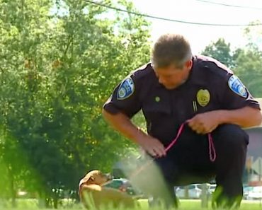 Police Officer Adopts Dog After Evil Owner Tries To Kill Her