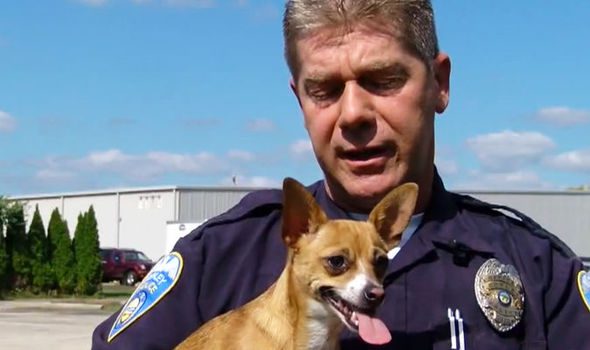 police officer adopts dog