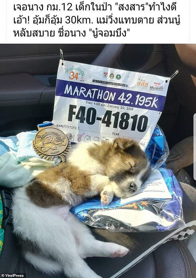 marathon runner carries dog