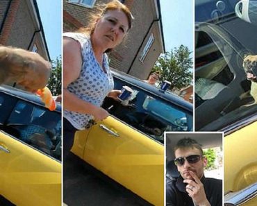 Workman Berates Woman For Leaving Pet In Her Car On Hottest Day Of The Year