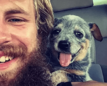 17 Dogs The Moment They First Met Their Humans