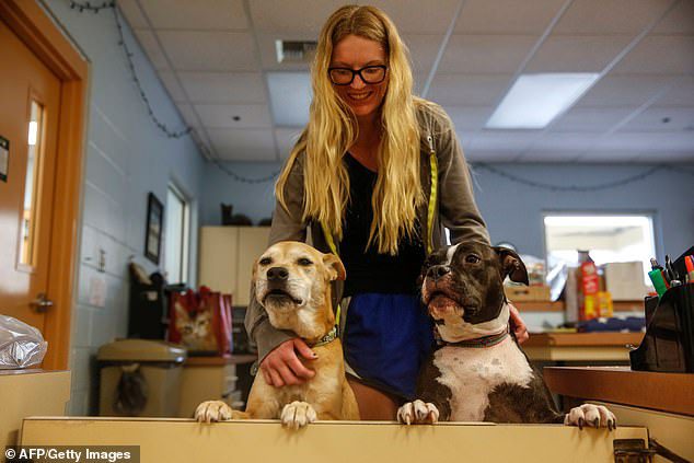 woman rescues dogs hurricane Dorian