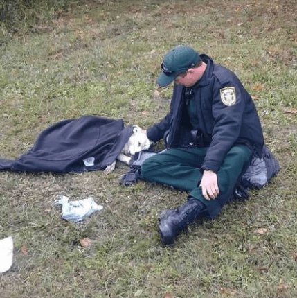 officer kindness to dog hit car