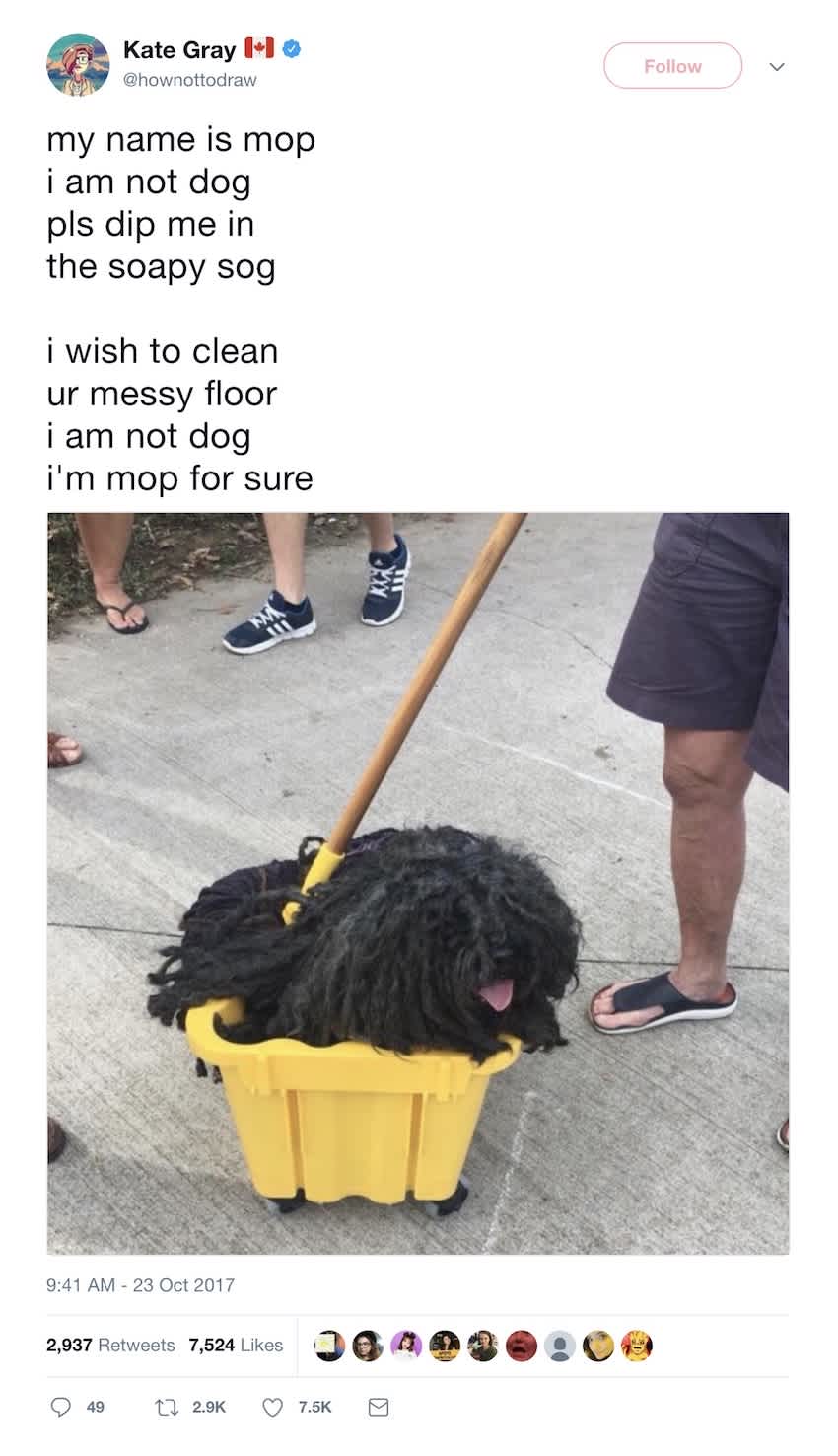 mop dog