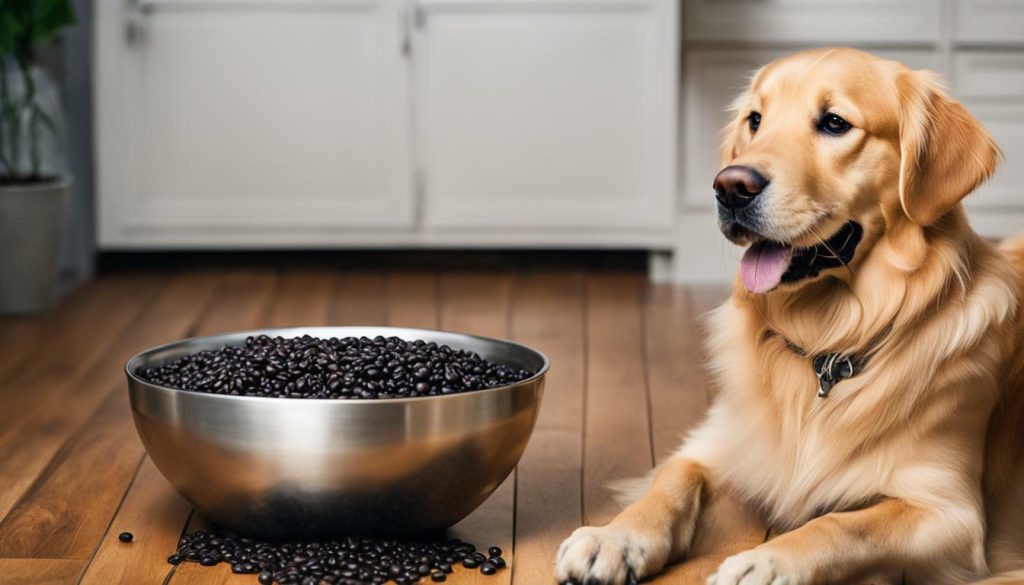 black beans as a source of protein for dogs
