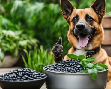 Can Dogs Eat Black Beans? Your Pet Nutrition Guide.