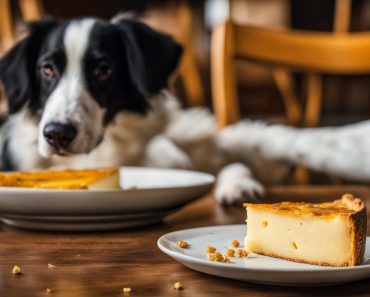 Can Dogs Eat Brie Cheese? – A Pet Owner’s Guide