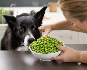 Can Dogs Eat Edamame Beans? Paw-Some Insights for Pet Owners!