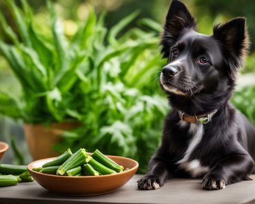 Can Dogs Eat Okra? Your Furry Friends’ Diet Query, Answered!