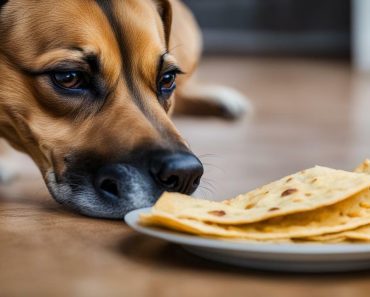 Can Dogs Eat Tortilla? Unraveling the Truth – Pup Dietary Tips