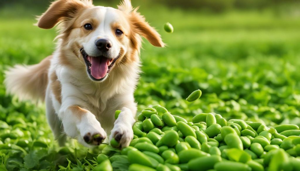 health benefits of edamame for dogs