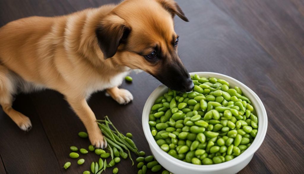 risks of dogs eating edamame