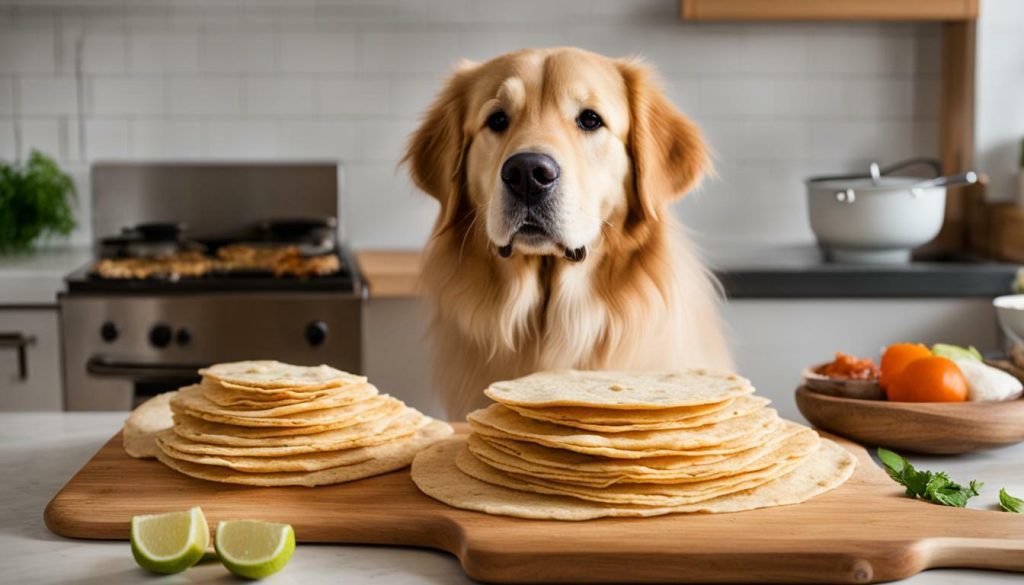 tortillas for dogs