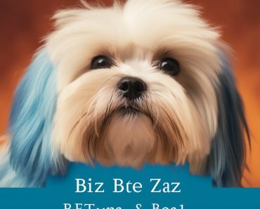 Bea-Tzu Price Guide (2023)