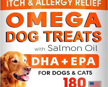 Best Allergy Supplement for Dogs: Top Picks for 2024