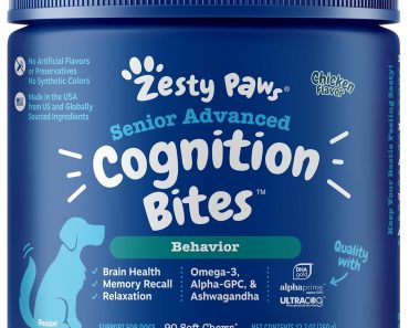 Best Cognitive Supplement for Dogs: Top Picks for Improved Brain Function