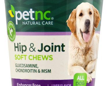 Best Dog Supplement for Luxating Patella: Top Picks for 2024