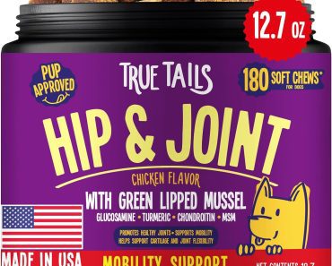 Best Joint and Hip Supplement for Dogs in 2024