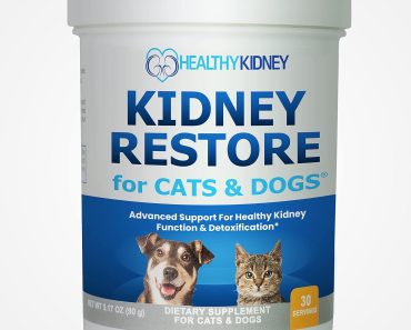 Best Kidney Supplement for Dogs in 2024