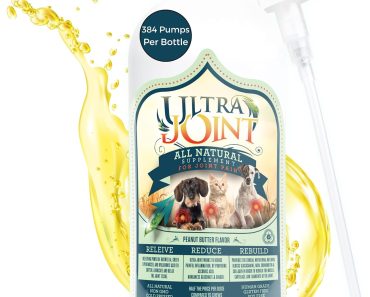 Best Liquid Joint Supplement for Dogs in 2024