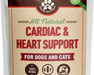 Best Supplement for Dog with Heart Murmur: Top Picks for a Healthy Heart