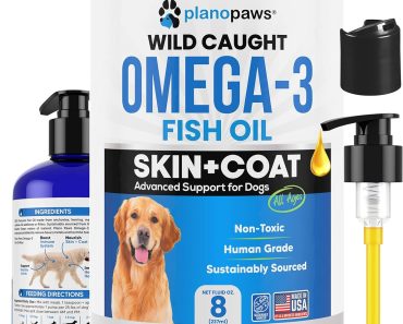 Best Supplement for Dogs Skin and Coat: Top Picks for Healthy Fur